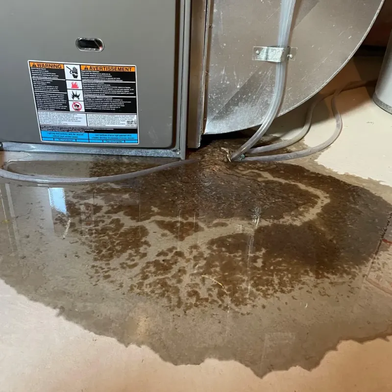 Appliance Leak Cleanup in Olive Branch, MS